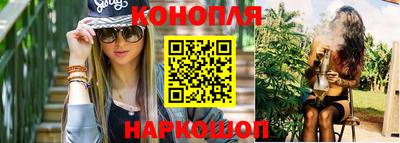 Альфа ПВП Майкоп