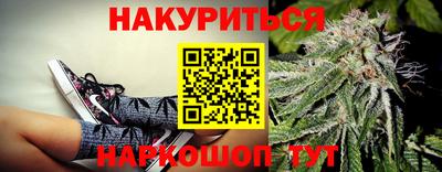 Альфа ПВП Майкоп
